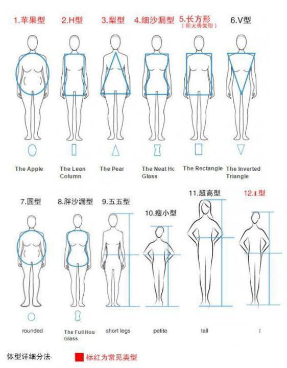女性12种体型分析，自测你是哪一种？看看吧